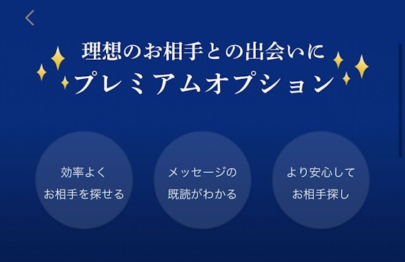 ゼクシィ縁結び|プレミアムオプションの料金